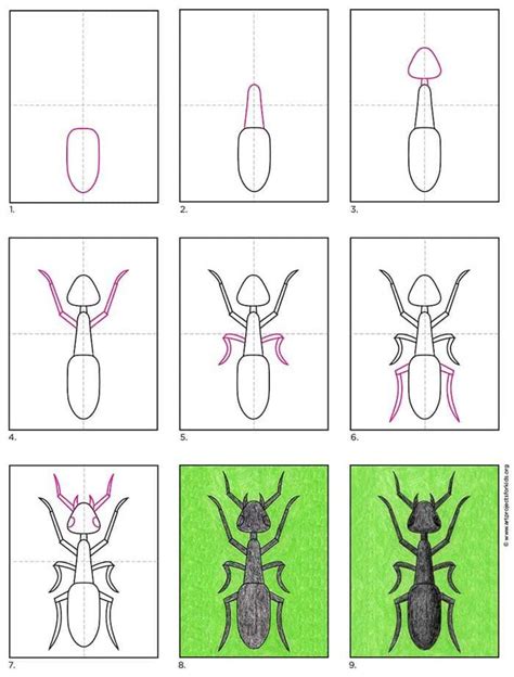 Easy how to draw an ant tutorial and ant coloring page – Artofit