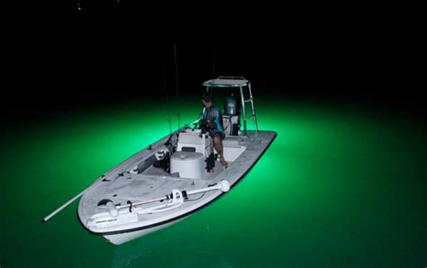 Useful Tips for Night Fishing Lighting Setup