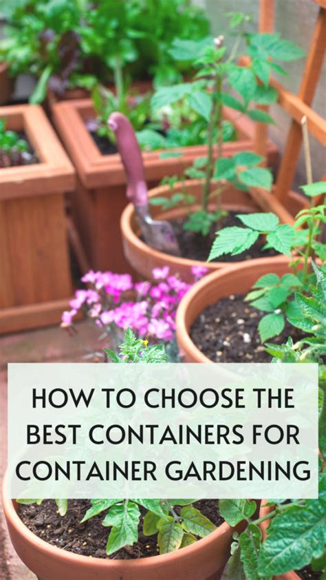 How To Choose The Best Containers For Container Gardening - It's Me Lady G