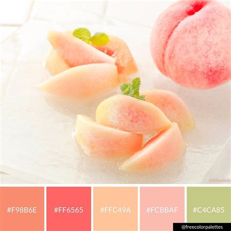 Peach Color Palette | Color palette bright, Peach color palettes, Bright color palette inspiration