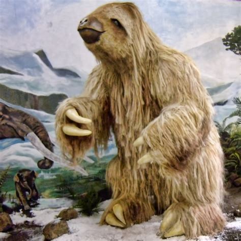 Footprints Prove Humans Hunted Giant Sloths During The Ice Age - Community | The NewsTalkers