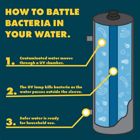 How Does Uv Light Disinfection Water | Shelly Lighting