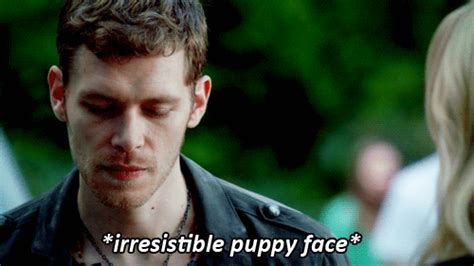 Klaus - 4x07 ‘puppy face’ Reaction gifs - Klaus Fan Art (35490492) - Fanpop