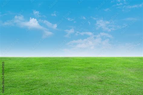 Landscape view of green grass with bright blue sky and clouds background. Stock Photo | Adobe Stock