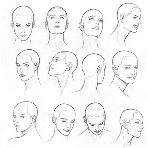 Frank Cho on Instagram: “Woman head model sheet. A model sheet that I ...