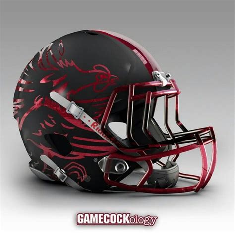 Concept Helmet Gamecocks | Carolina gamecocks football, South carolina gamecocks football ...