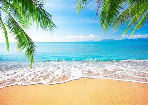 Realistic zoom virtual background beach - nmpag