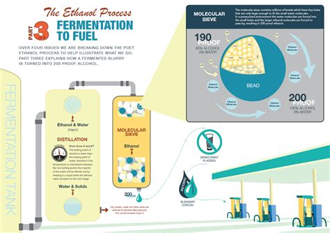 Infographics: The Ethanol Process - Vital | A news & media resource ...