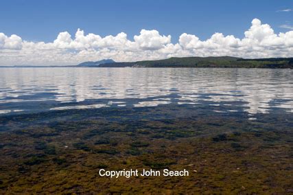 Taupo Volcano Eruption