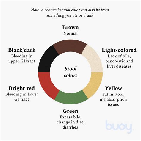 What Do Light Colored Stools Indicate | Americanwarmoms.org