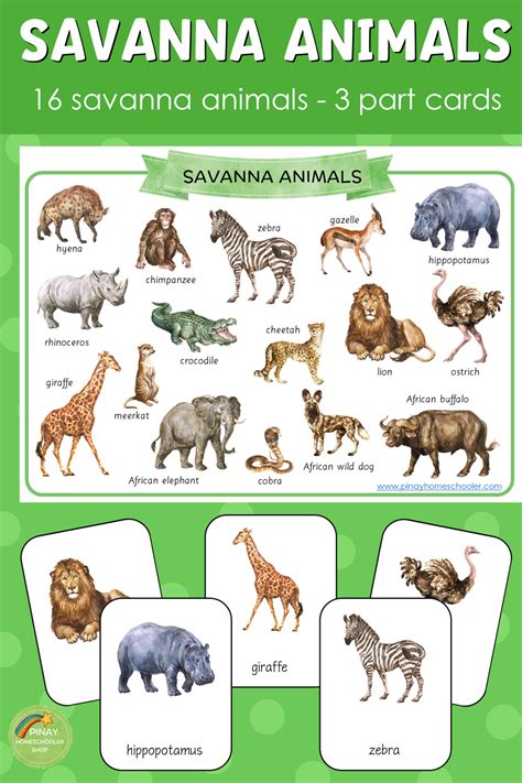 African Savanna Animals List : Wild Nature Institute Blog Wild Nature Institute / The african ...