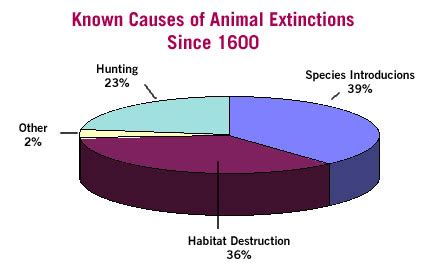 Hunting: Effects on the Environment