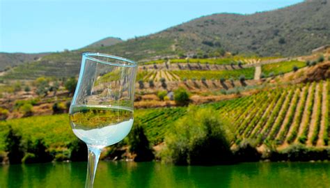 Tour de Vinhos no Douro - Porto & Douro Tours Inside Tours