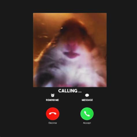 Dank Meme Hamster Staring Front Camera T Shirt Calling - Dank Meme Hamster Staring Front Camera ...