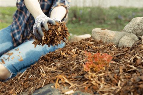 How to Find Free Mulch for Your Yard | Eden Lawn Care and Snow Removal