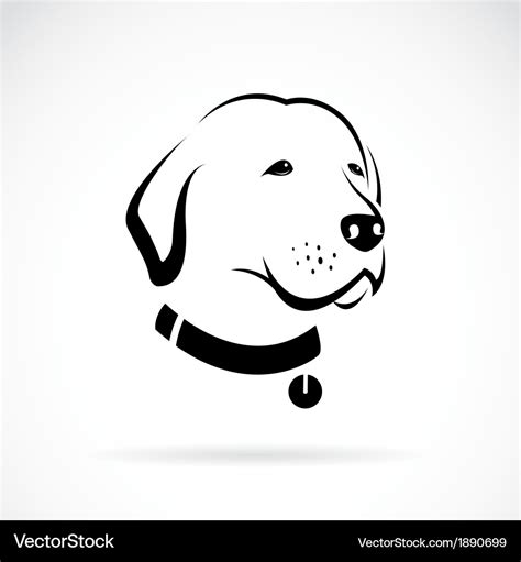 Dog labrador Royalty Free Vector Image - VectorStock