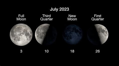 Cms Moon Form 2023 - Printable Forms Free Online