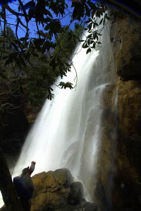 Famous Waterfalls of Virginia - Special Finds, Unique Homes