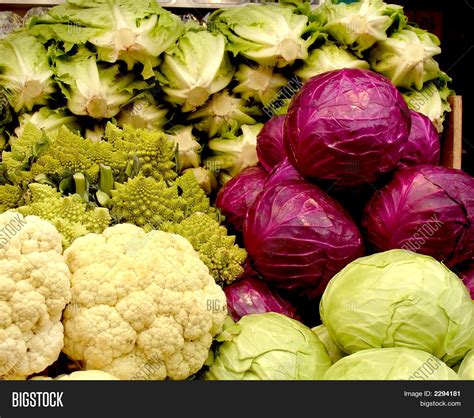 Cabbage Family Image & Photo (Free Trial) | Bigstock