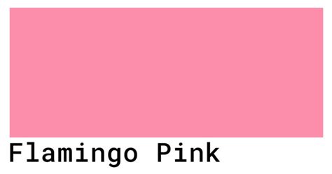 Flamingo Pink Color Codes - The Hex, RGB and CMYK Values That You Need