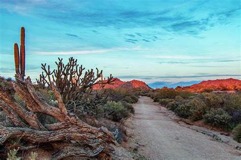 Arizona desert sunset road to no where. Photograph by Ray Redstone - Fine Art America