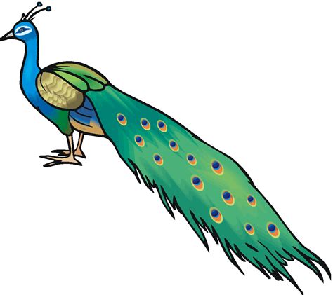 Peacock Clip Art Free | Clipart Panda - Free Clipart Images | Free clip ...