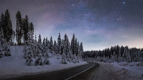 Download wallpaper: Winter night at Pokljuka forest 1920x1080