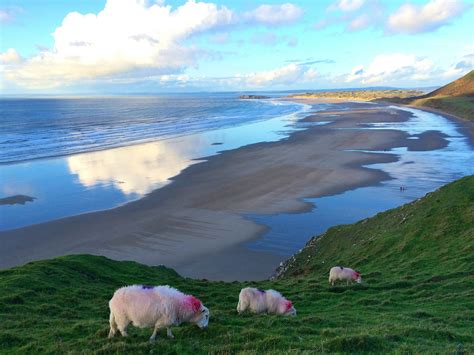 Gower Peninsula (Y Gŵyr) travel | Wales - Lonely Planet