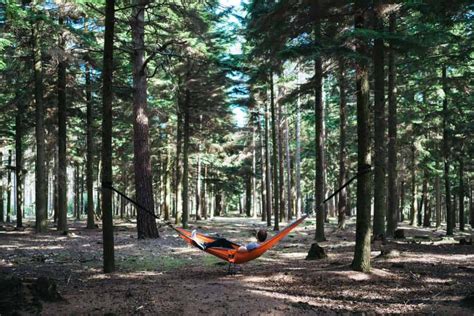 8 Best Portable Hammock Stands For Camping 2021 – Better Exploring