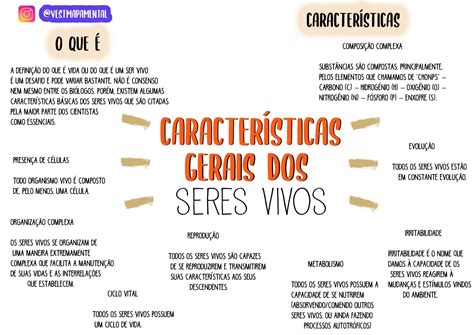 Características do seres vivos [resumos e mapas mentais] - Infinittus