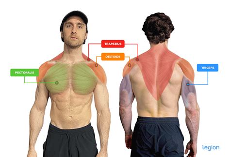 How to Do the Arnold Press: Form Guide & Variations - ThaiMedFood