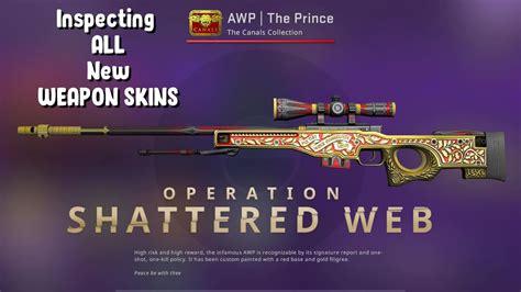 CS GO - 'Operation Shattered Web' Inspecting ALL Weapon Skins | Content Update