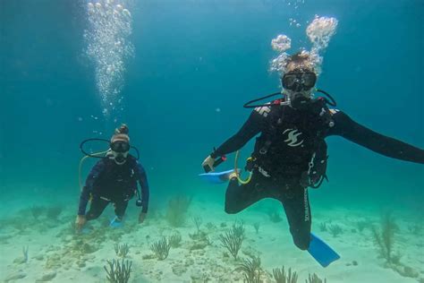 12 Things to KNOW Before Going Scuba Diving in Tulum - Destinationless Travel