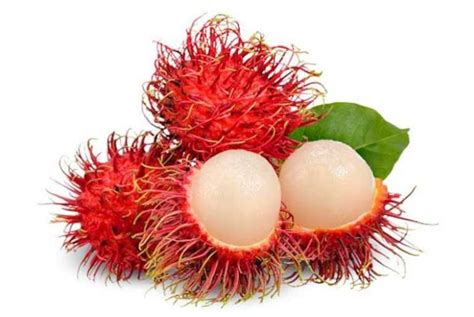 Discover the Remarkable Health Benefits of Rambutan Fruit