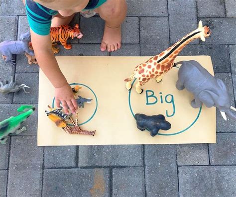 SIZE SORTING | Animal activities for kids, Zoo activities preschool, Zoo activities