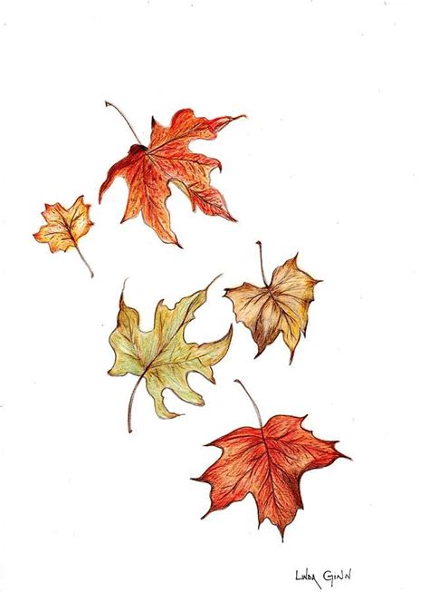 Falling Leaf Drawing | Leaf drawing, Fall leaves drawing, Leaf art