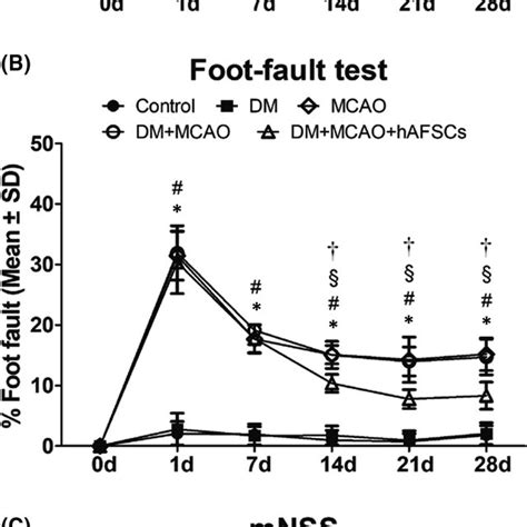 Neurological function tests including (A) adhesive‐removal test, (B)... | Download Scientific ...