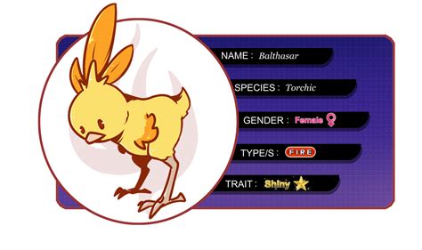 Shiny Torchic ref by BudgieKnight on DeviantArt