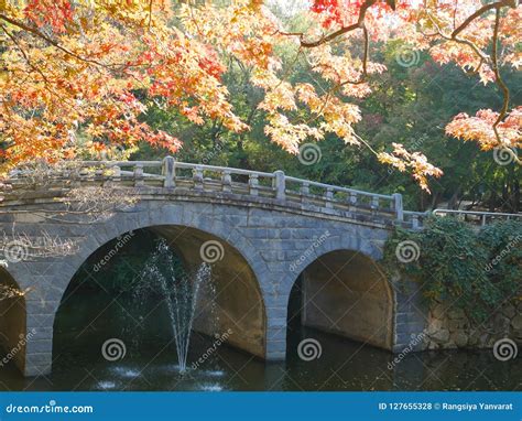 Bulguksa Buddhist Temple, South Korea. Stock Photo - Image of orange, autumn: 127655328