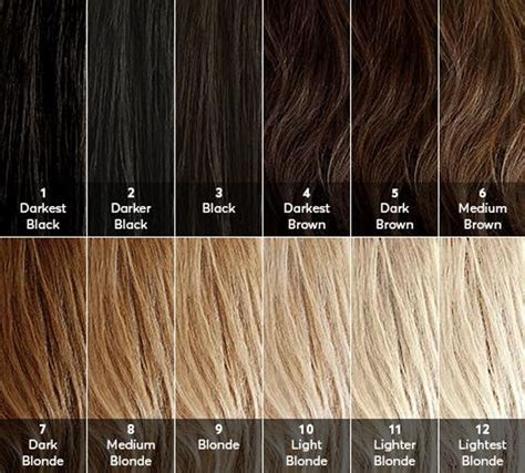 40 shades of brown hair color chart to suit any complexion - light ...