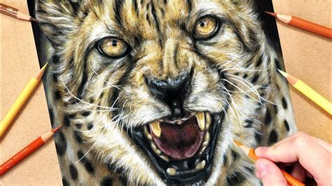 How To Draw A Realistic Cheetah