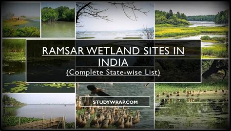 Ramsar Wetland Sites in India (Complete State-wise List) - Study Wrap