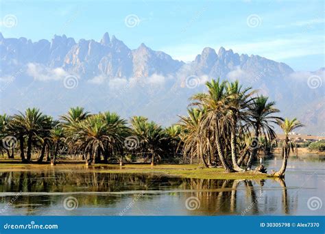 Yemen. Socotra island stock photo. Image of conservation - 30305798