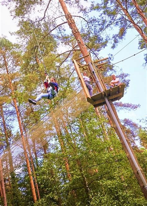 Go Ape Dalby Forest - Where To Go With Kids