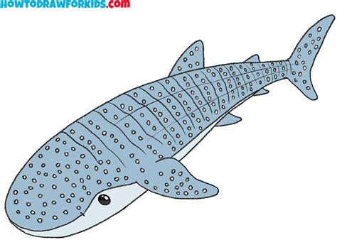 How to Draw a Whale Shark - Easy Drawing Tutorial For Kids