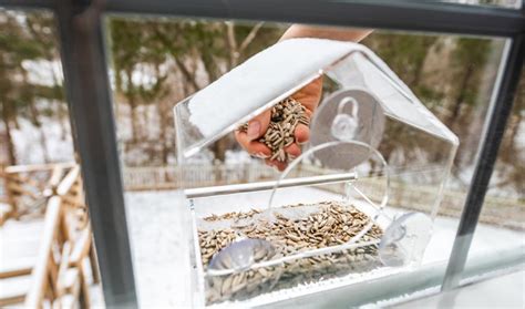 14 Best Window Bird Feeders Reviewed and Rated in 2024