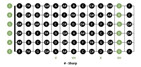 Most Popular Beginner Guitar Chords Chart | Musician Tuts