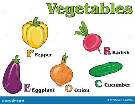 Vegetables And His Names Stock Illustration Illustration Of