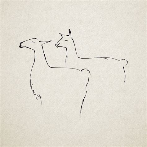 Ink drawing animals vol.2 on Behance