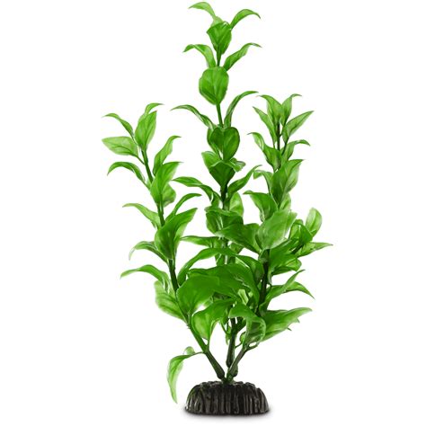 Imagitarium Green Ambulia Midground Plastic Aquarium Plant | Petco